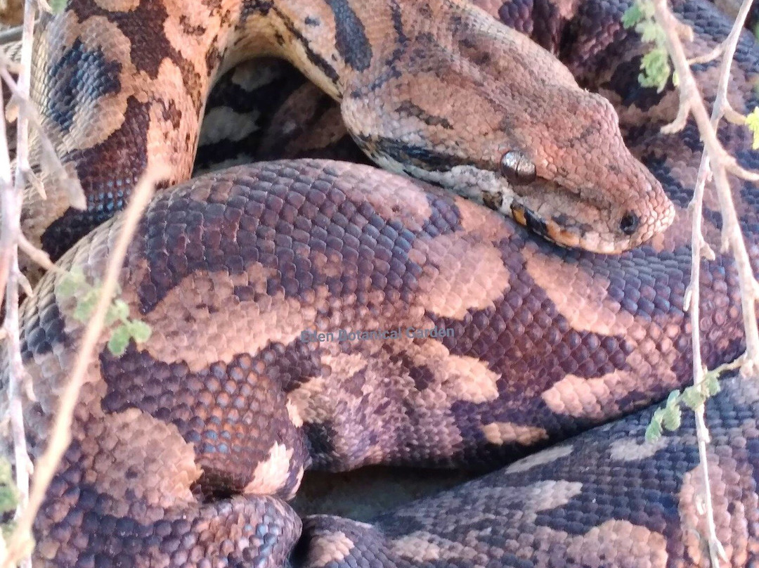 Eden Botanical Garden Toliara-Toliara必去景点