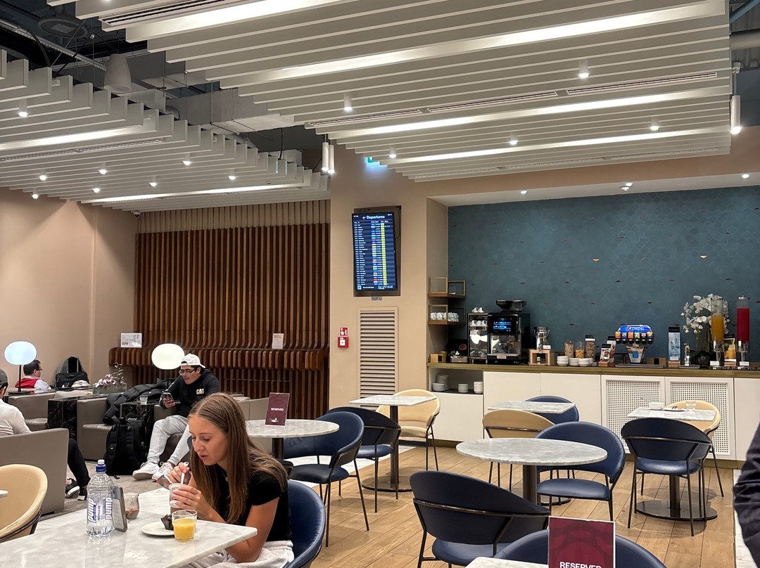 Plaza Premium Lounge (Schengen Area Departures Terminal 1)-菲乌米奇诺必去景点