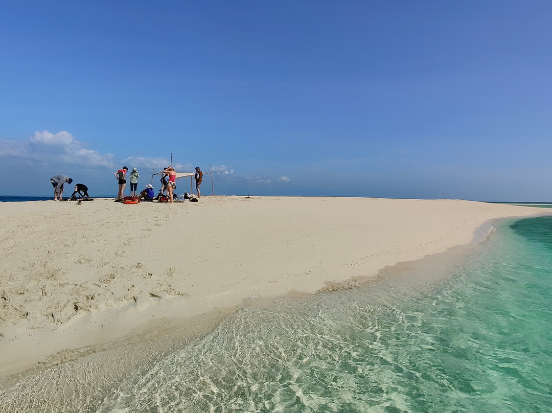 Kasa Diving - Diving Maziwe Marine Reserve-Pangani必去景点