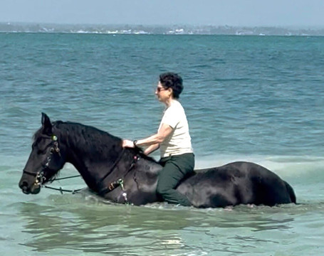 Royal Stable Zanzibar