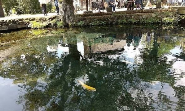 Nigori-ike Pond-忍野村必去景点
