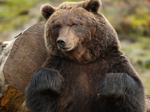 Wild Ireland-Burnfoot必去景点