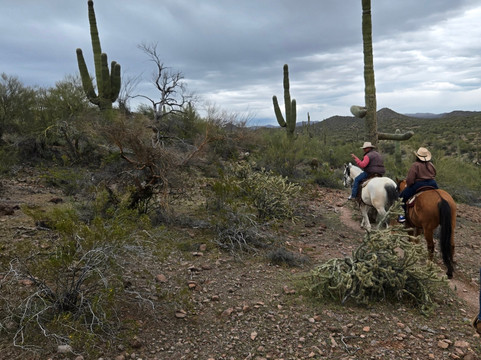 Arizona Horse Company-Wickenburg必去景点