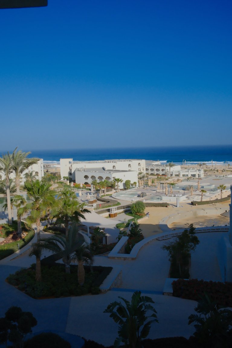 西迪汉尼什克利奥帕特拉-官方