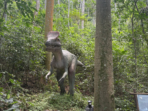 Terra Dos Dinos-Miguel Pereira必去景点