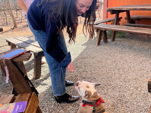 Atp Vinos y Familia-恩塞纳达必去景点