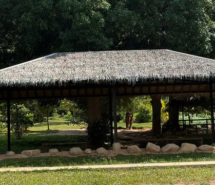 Samui Elephant Sanctuary-波普特必去景点