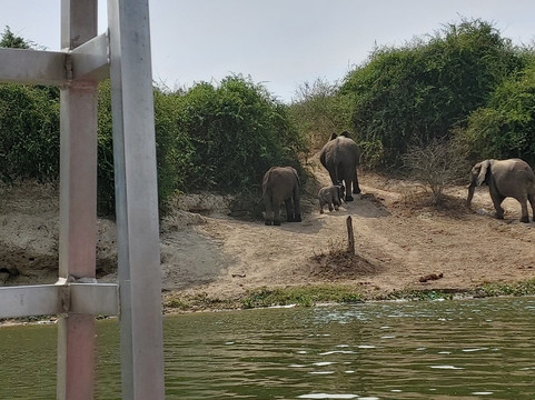 Afrika Panthera Safaris-Fort Portal必去景点