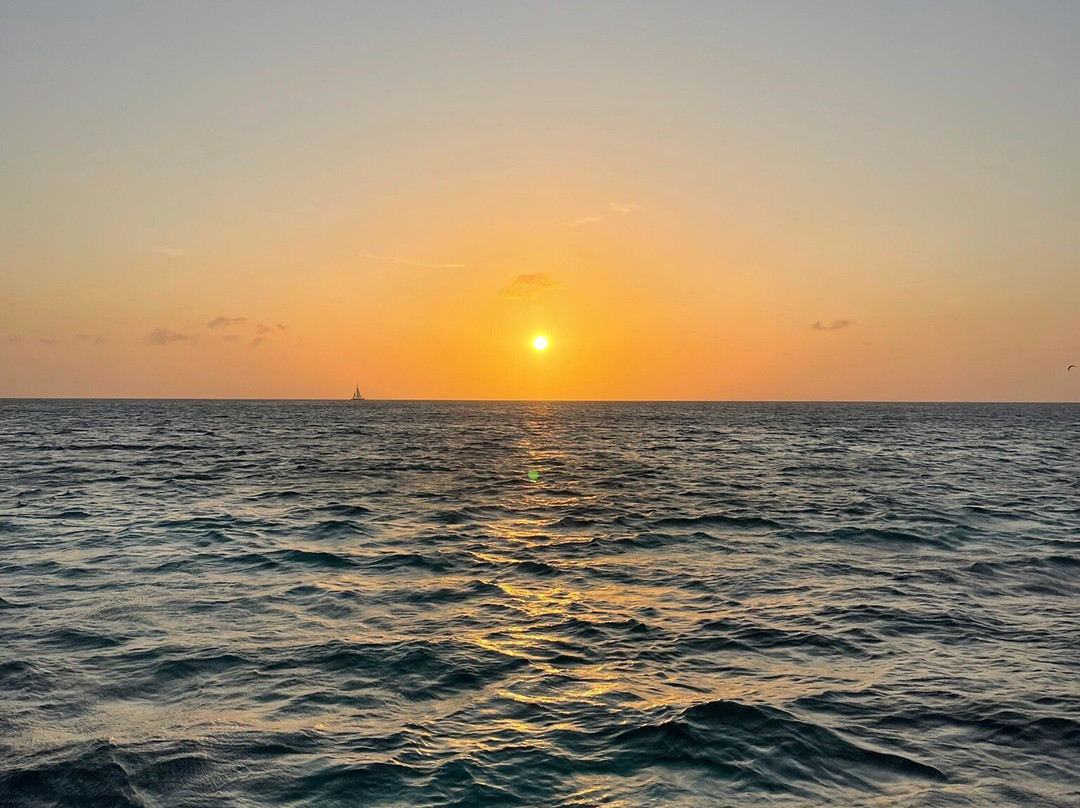 Red Sail Sports Aruba-奥腊涅斯塔德必去景点