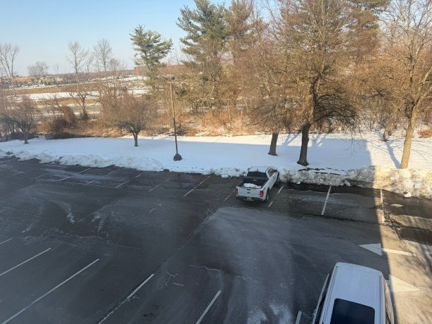 弗里霍尔德丽笙酒店-官方