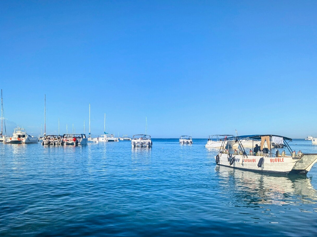 Pro Excursions Bayahibe-Bayahibe必去景点