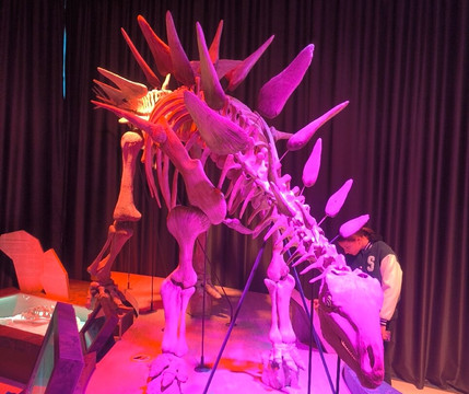 Paléospace-Villers-sur-Mer必去景点