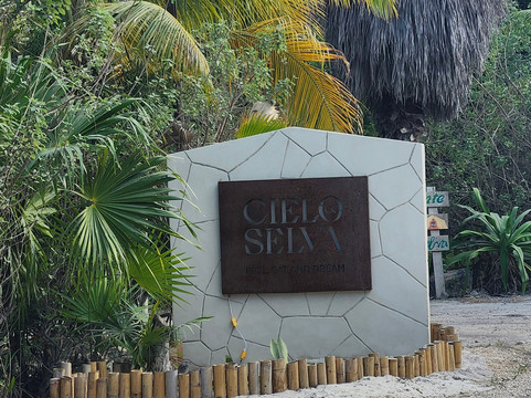 天空与森林酒店主图