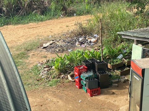 乌达瓦拉维大象足迹酒店主图