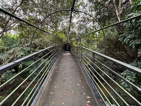 梦想女人海滩高尔夫水疗度假村-全包式主图