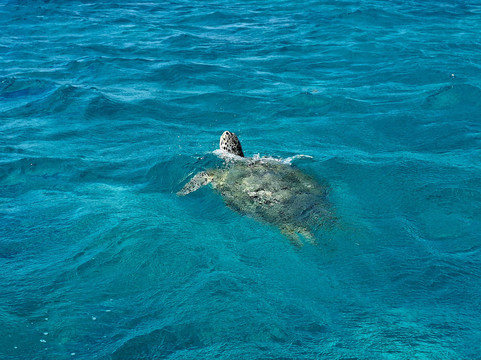 Pixan Ka'an-图伦必去景点