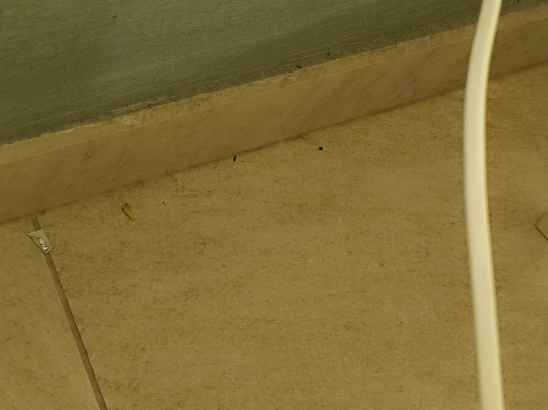 Bed and Breakfast Castello主图