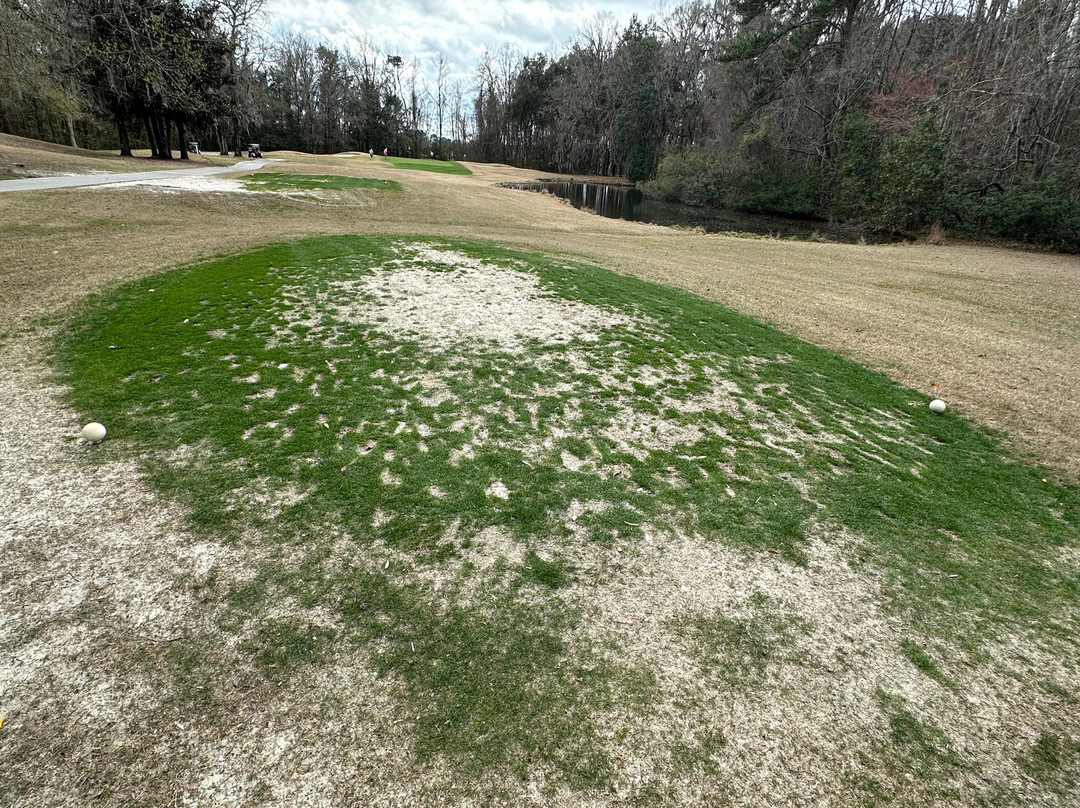 Henderson Golf Club-萨凡纳必去景点