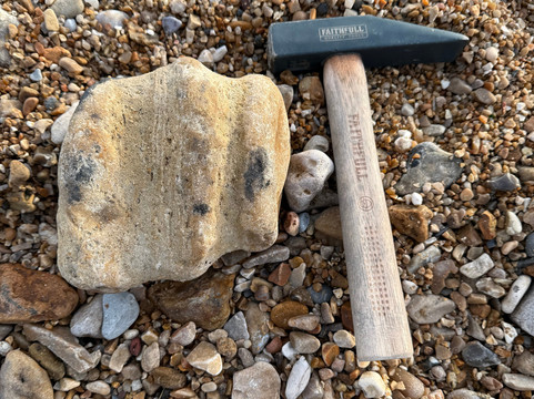 亨斯利之家主图