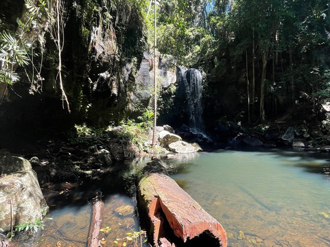 Curtis Falls-丹百林山必去景点