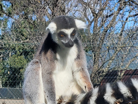 Corsica Zoo-Olmeta di Tuda必去景点