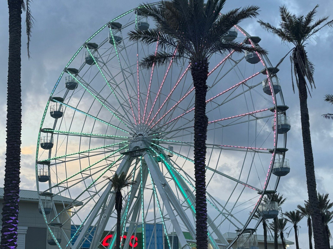 The Wharf-橙色海湾必去景点