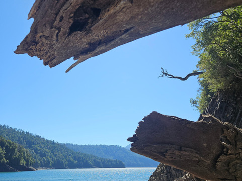 Parque Huishue-Lago Ranco必去景点