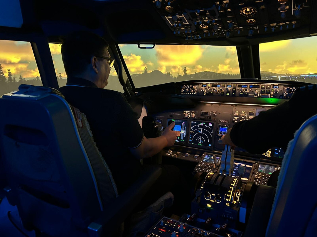 Voyager Flight Simulation Ltd-卢顿必去景点