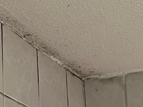 恩斯赫德德布罗艾德餐厅弗莱彻酒店主图