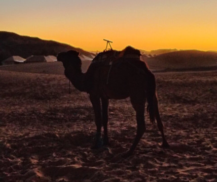 Desert Merzouga Tours-非斯必去景点