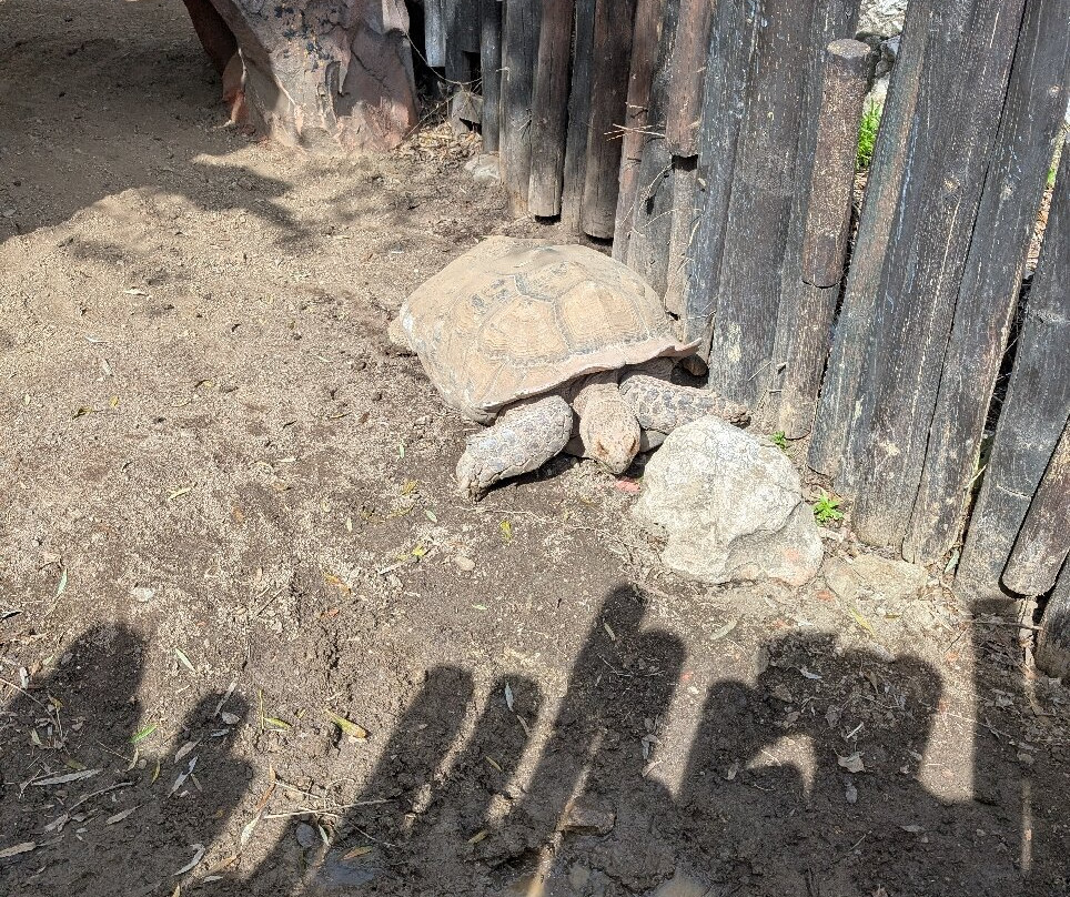 Selwo Marina-班纳玛德纳必去景点