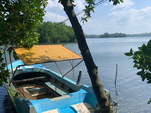 Vision Lanka Tours-加勒必去景点