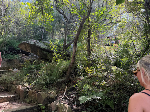 Positive Energy Adventures & Retreats-麦克夸利港必去景点