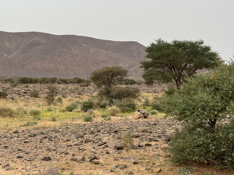 Mountain Desert Tours-马拉喀什必去景点