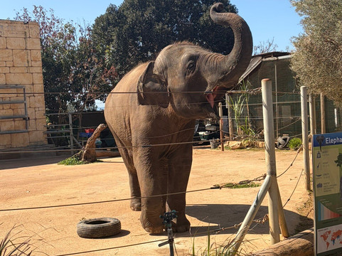 Pafos Zoo-帕福斯必去景点