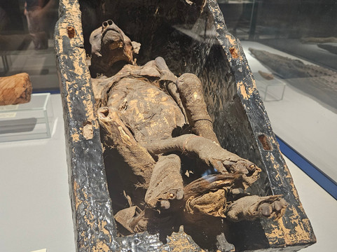 Mummification Museum-卢克索必去景点