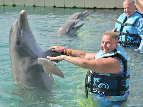 Dolphin Discovery Grand Cayman-西湾必去景点