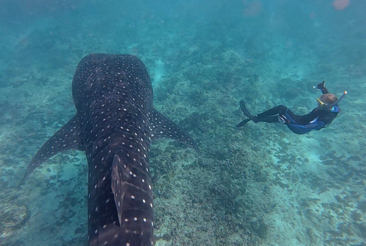 Papa Fish Excursions-乌库拉斯必去景点