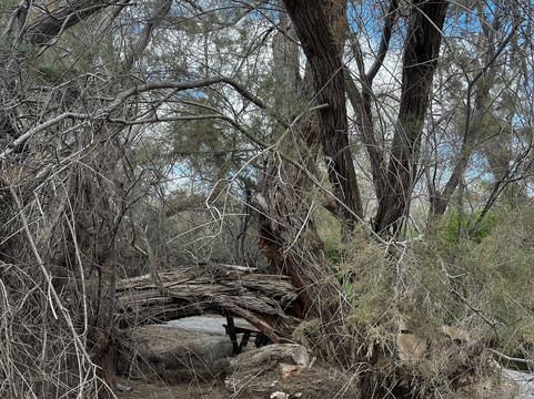 Parque Tony Gallardo-马斯帕洛马斯必去景点