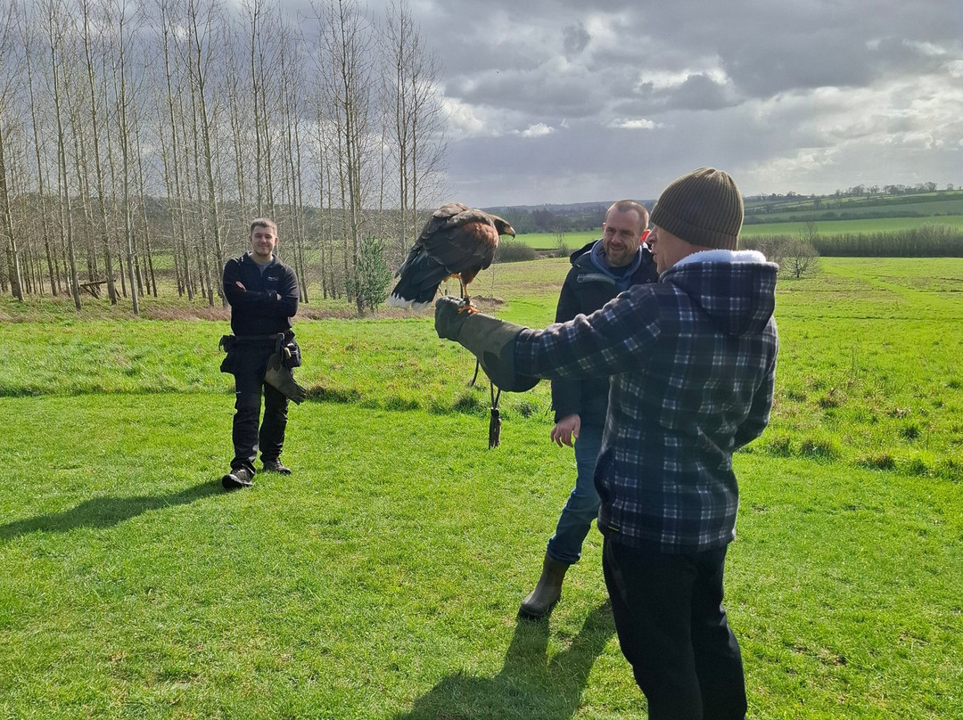 Bird on the Hand Falconry Experiences-Church Langton必去景点