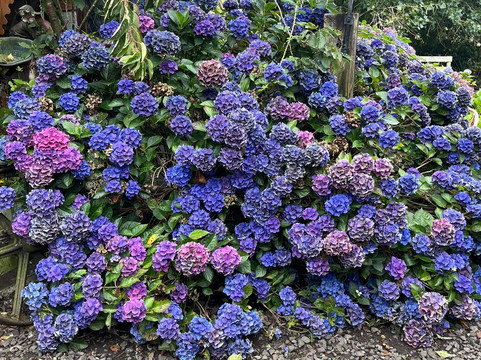 Demolition World-因弗卡吉尔必去景点