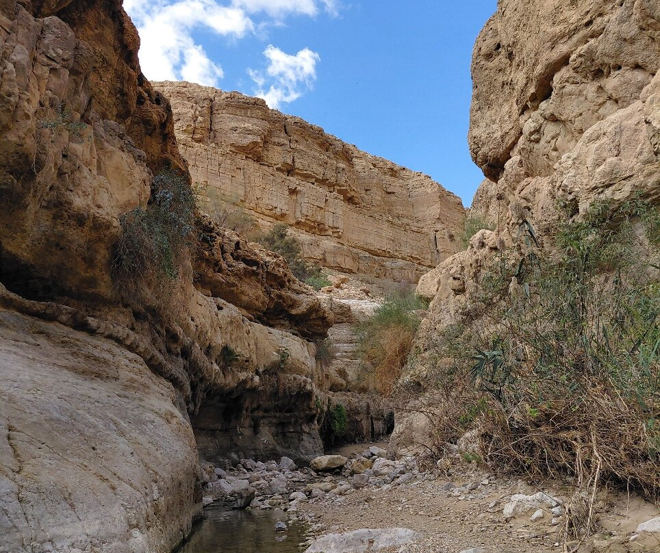 Nachal Arugot Nature Reserve-Masada必去景点