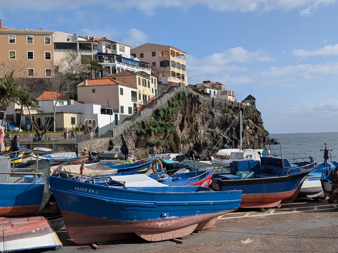 Baia de Camara de Lobos-Camara De Lobos必去景点