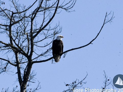 Deer Harbor Charters-Eastsound必去景点