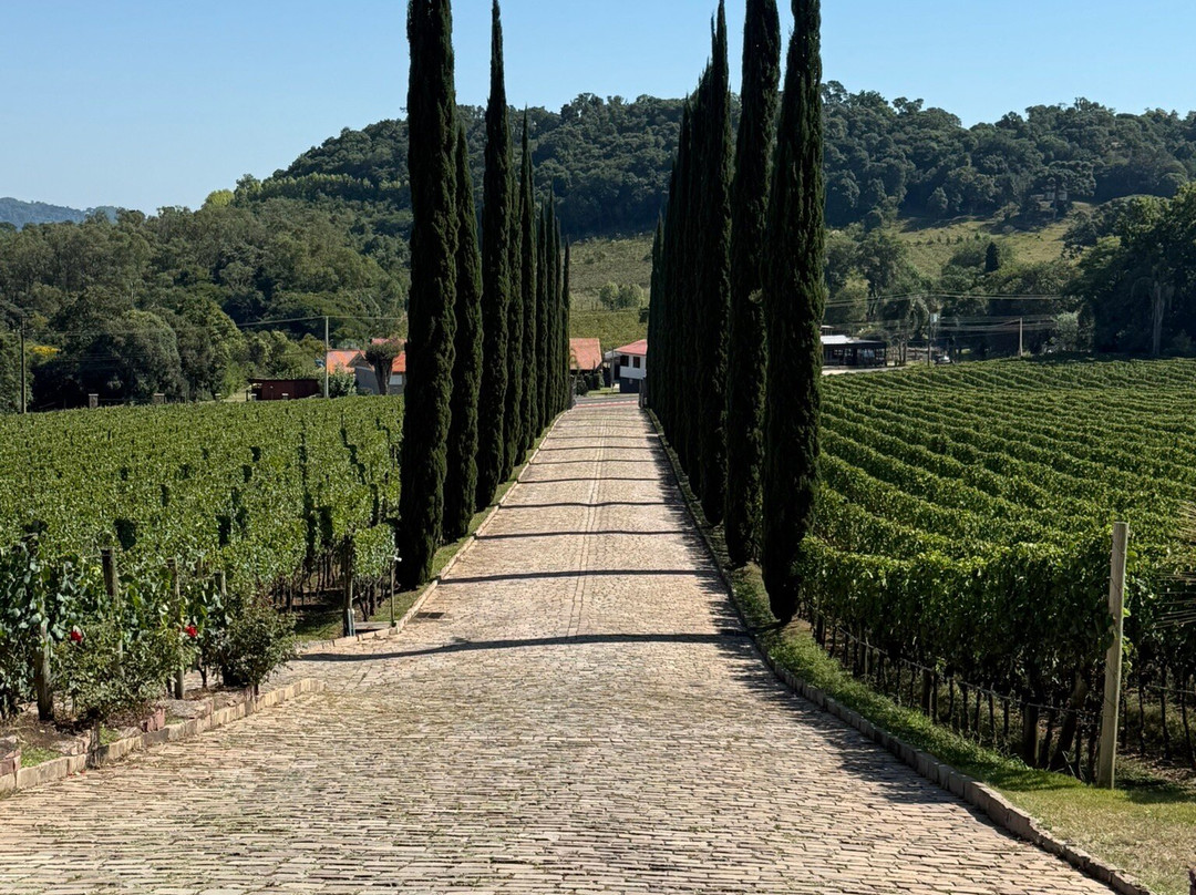 Almaunica Winerie-本图贡萨尔维斯必去景点