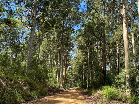 海滩-Shoalhaven必去景点