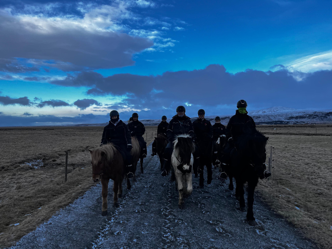 Eldhestar Volcano Horses-Olfus必去景点