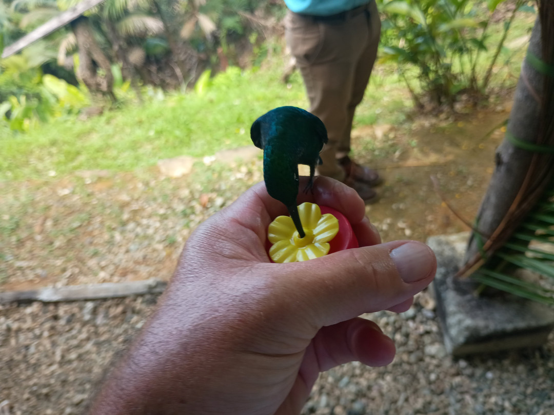 Hans Tours-斯卡伯勒必去景点