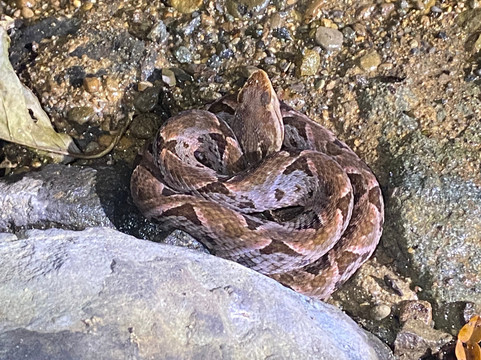 Santa Lucia Falls-乌维塔必去景点