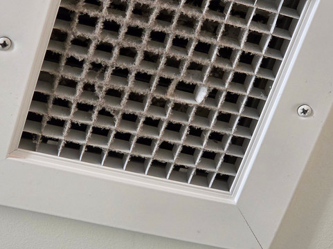 塔拉哈西州议会大厦希尔顿惠庭酒店主图